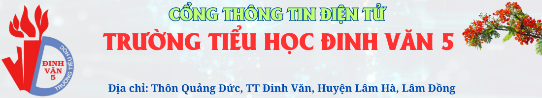 Trường Tiểu học Đinh Văn 5